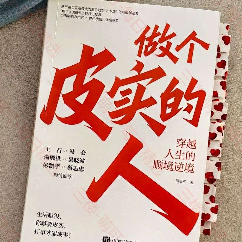 【分享】《做个皮实的人》：穿越人生的顺境逆境 封面