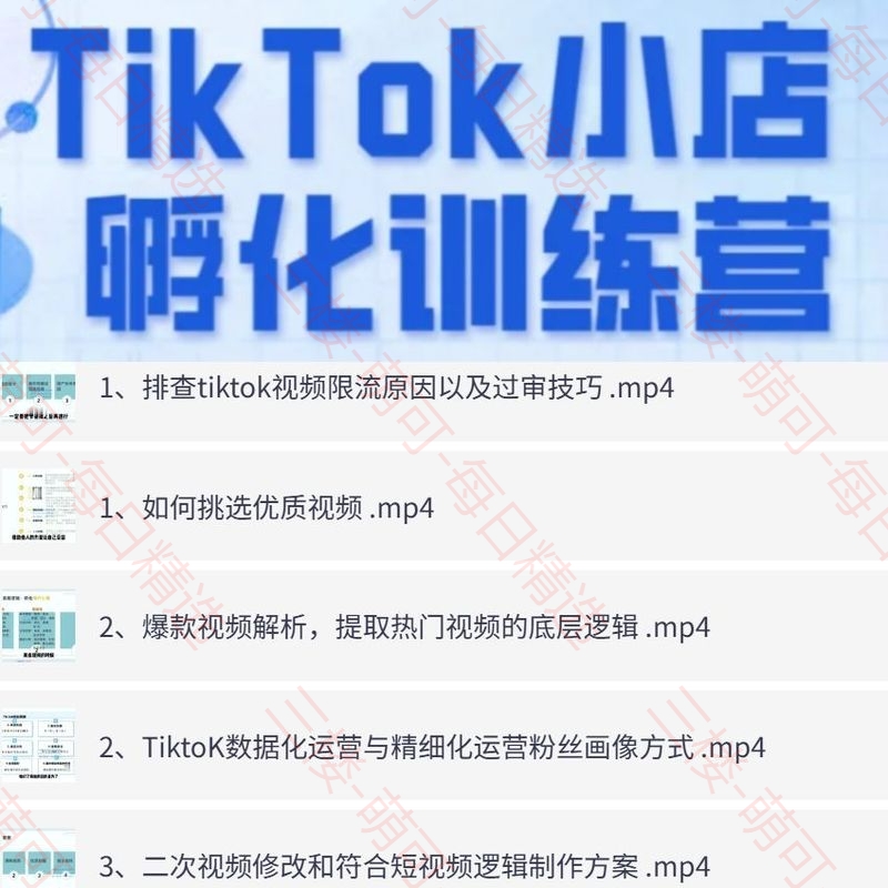 【分享】TikTok精品课程电商孵化中心 封面