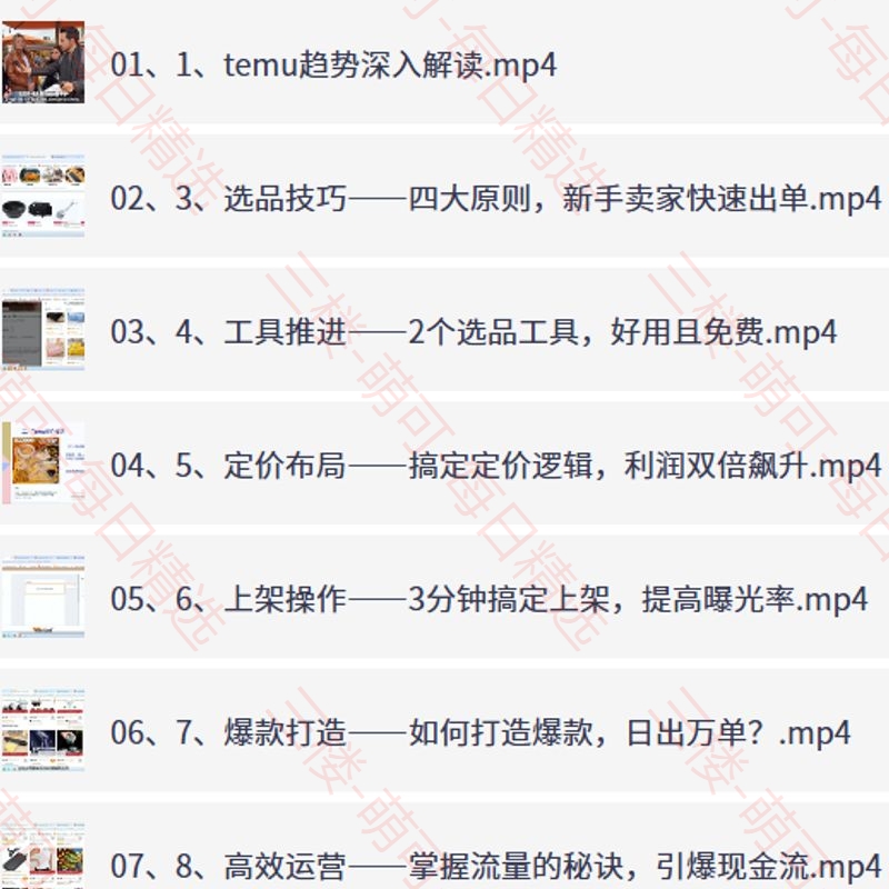 【分享】海外拼多多Temu全攻略，从0到1轻松爆单实战指南 封面