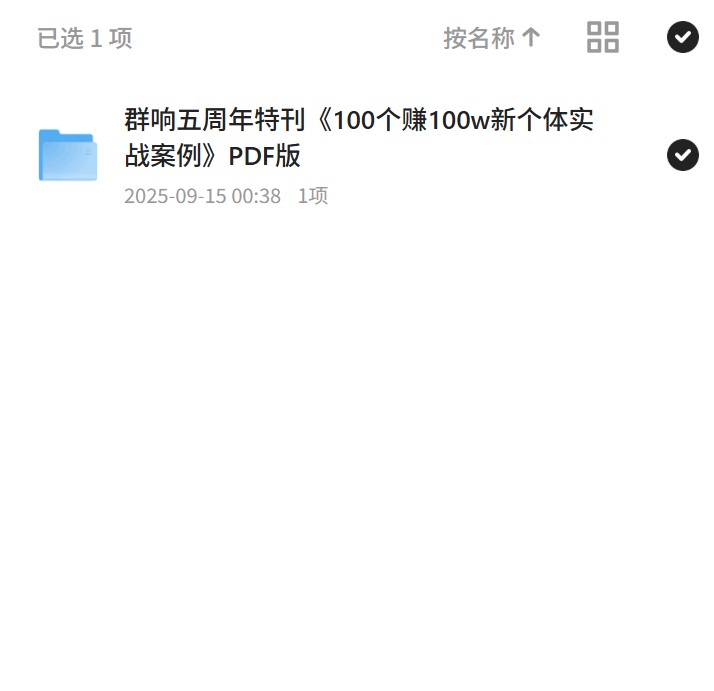 群响五周年特刊《100个赚100w新个体实战案例》PDF版