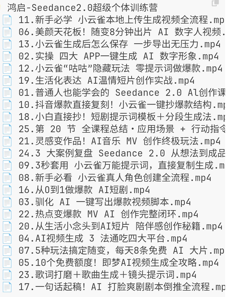 鸿启-Seedance2.0超级个体训练营