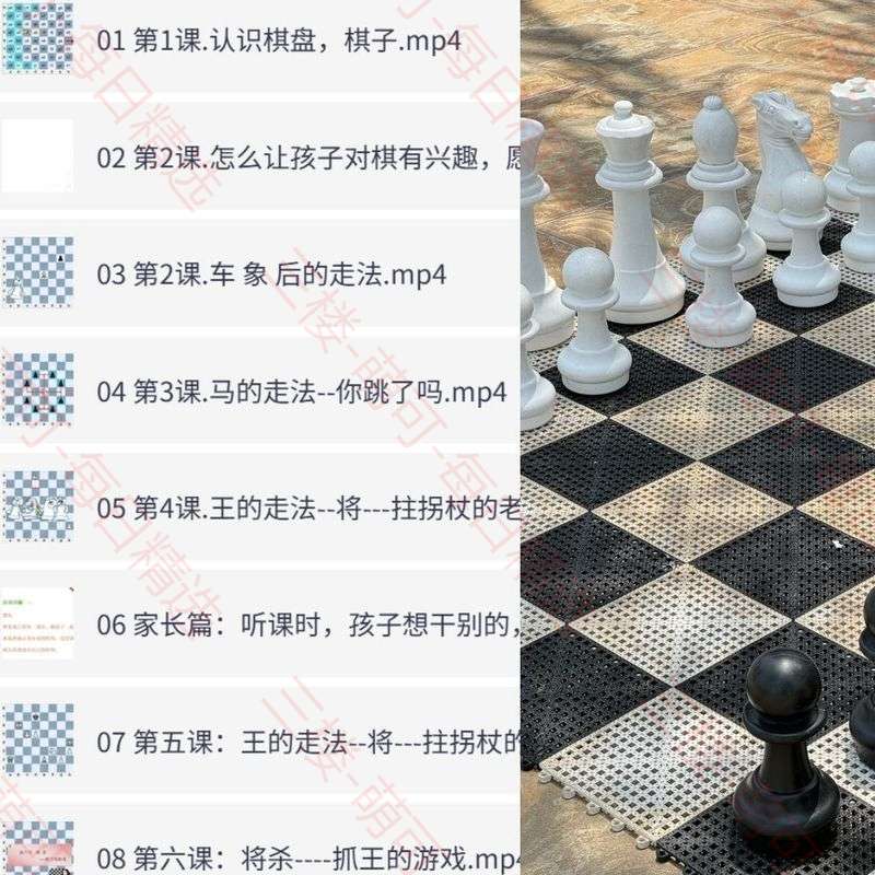 【分享】国际象棋入门教程 封面