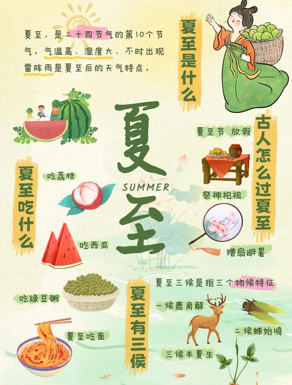 【分享】二十四节气之夏至🌿带孩子了解中国传统文化✅附夏至 封面