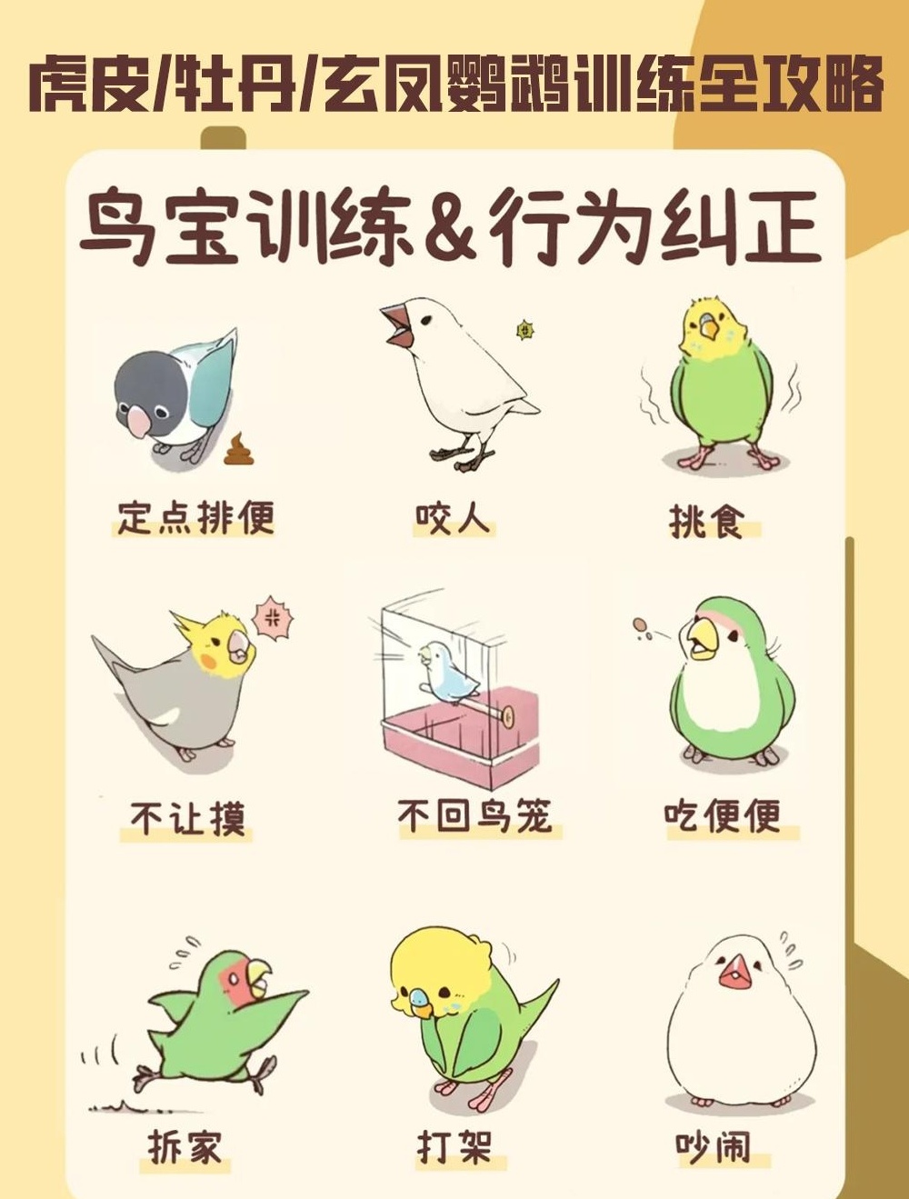 【分享】🎯零基础也能轻松上手《虎皮牡丹玄凤鹦鹉训练全 封面