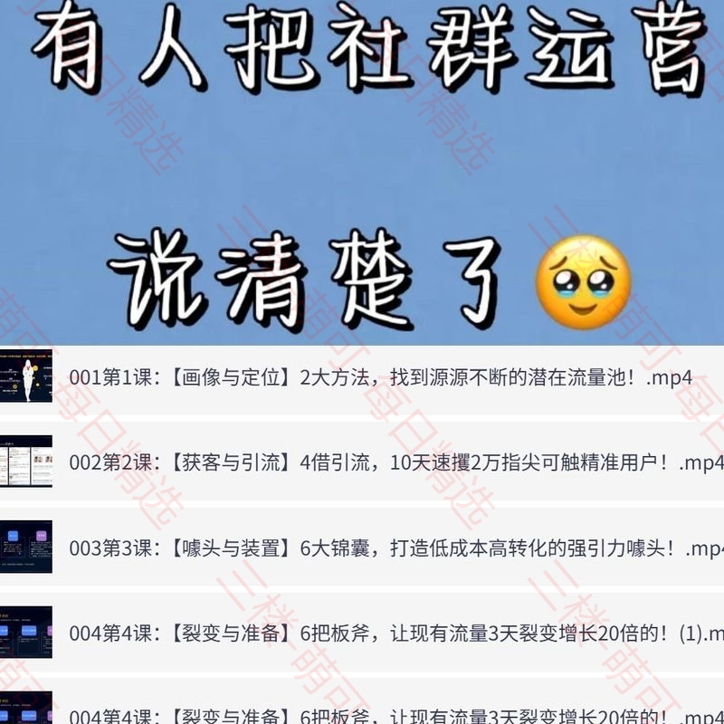 【分享】20节社群赚钱全攻略【完结】 封面