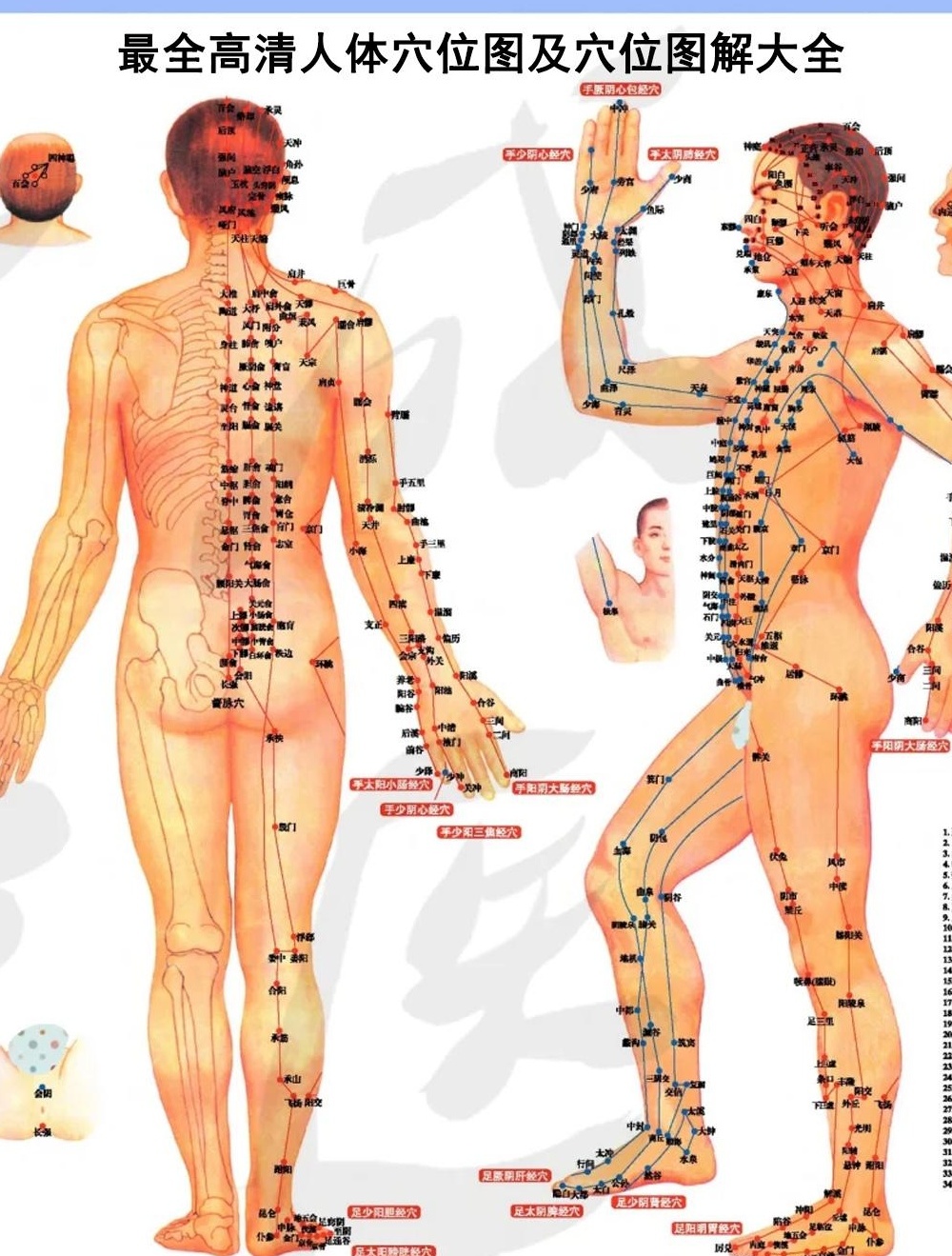 【分享】最全高清人体穴位图及穴位图解大全|精准定位3 封面
