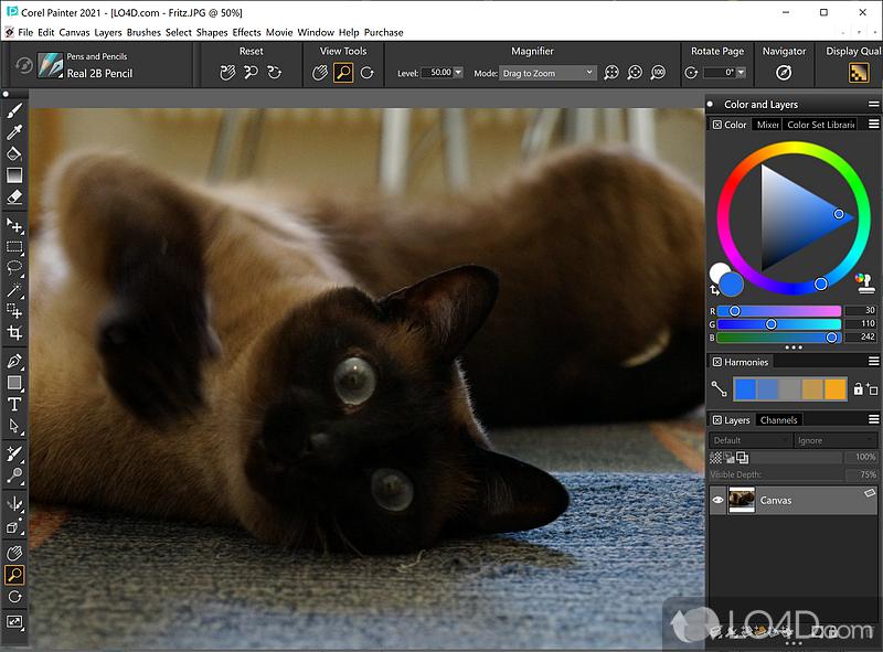 Corel Painter 2023｜专业数字绘画软件分 封面