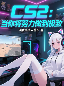 游戏小说CS2：当你努力做到极致