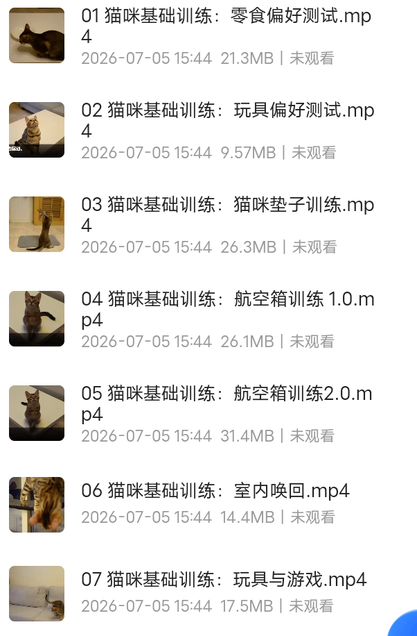 猫咪基础训练