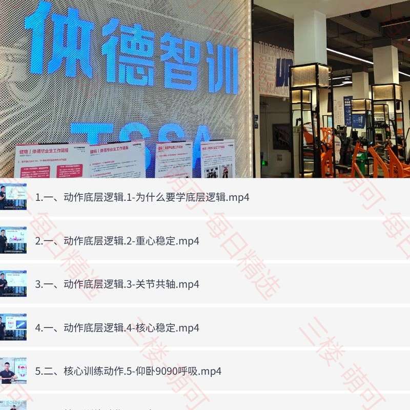 【分享】体德智训《健身进阶必修课》，科学训练与系统提升指南 封面