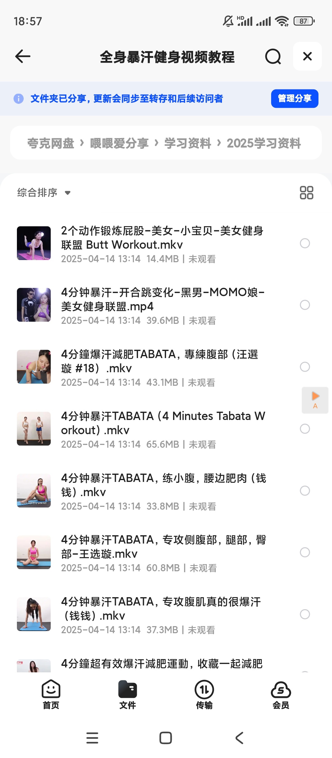【分享】全身暴汗健身视频教程 封面