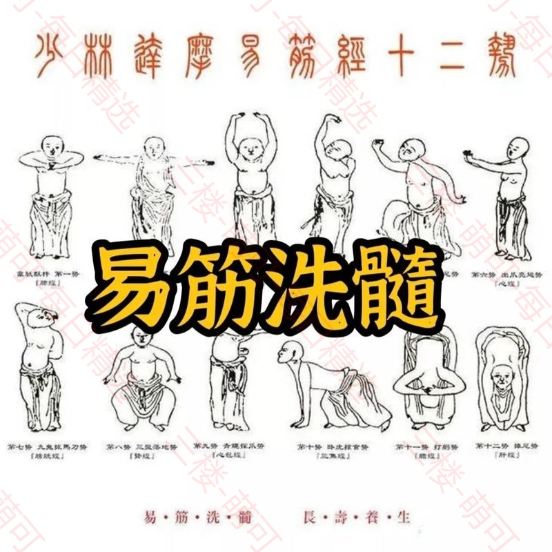 【分享】易筋洗髓功（9集） 封面
