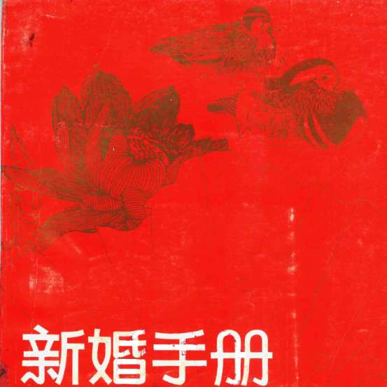 【分享】《新婚手册》婚姻指南+生活智慧+实用建议 封面