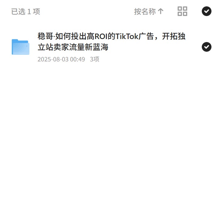 TikTok广告高ROI秘籍：独立站卖家流量新蓝海 封面