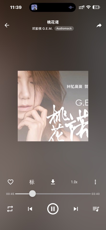 iOS专属MusicFree免费听全网音乐，多音质播放 封面