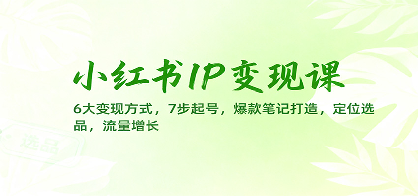 小红书IP变现课，6大玩法7步起号
