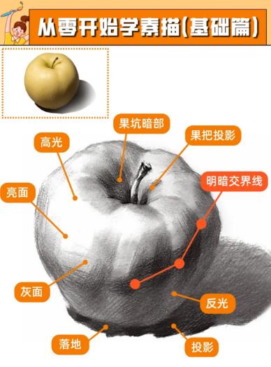 【分享】王云飞-从零开始学素描（基础篇）带你15天掌握素 封面