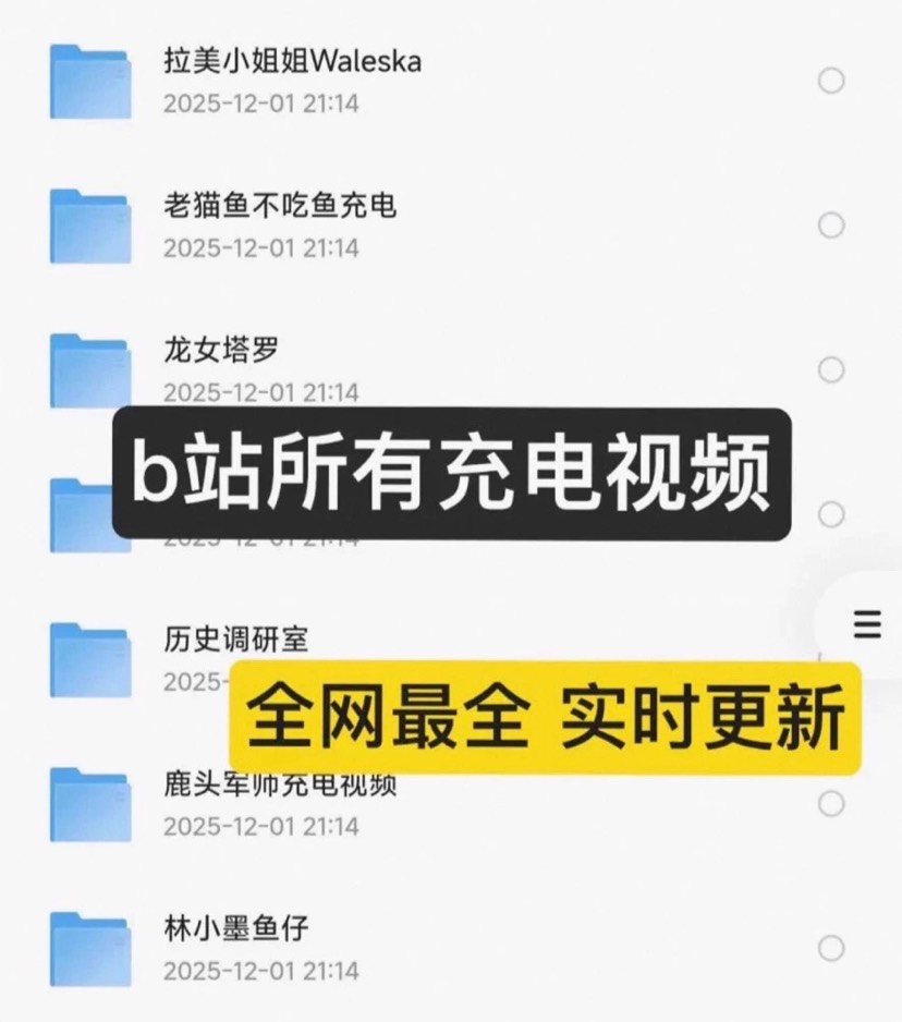 【分享】 B站重量级UP充电视频合集3.6T资源 封面