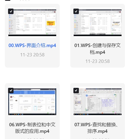 《WPS从入门到精通》视频教程 封面