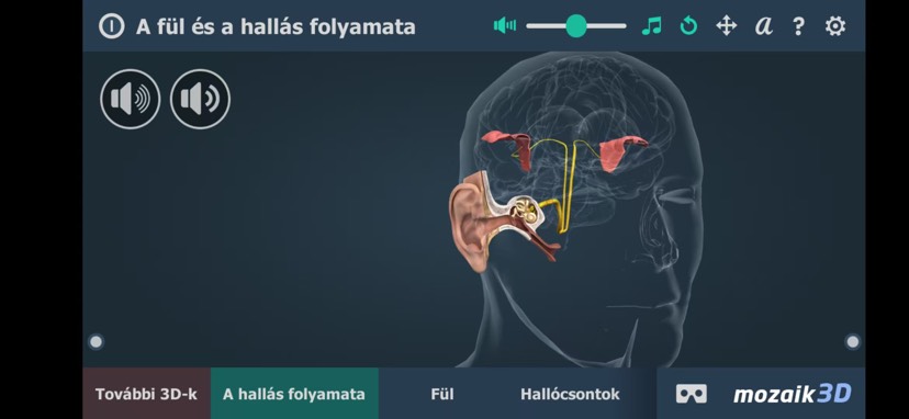 The mechanism of hearing人体耳朵构造系统 封面