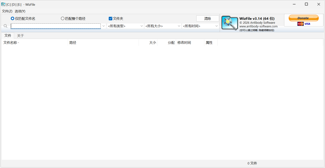 wizfile电脑强力搜索绿色版 封面