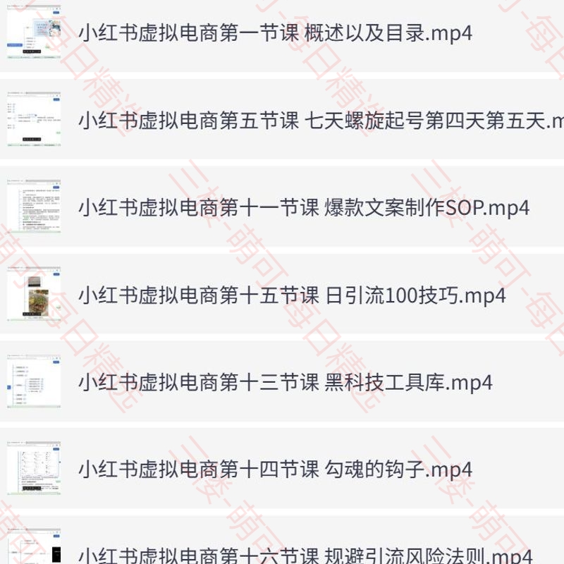 【分享】小红书虚拟电商入门到精通 封面