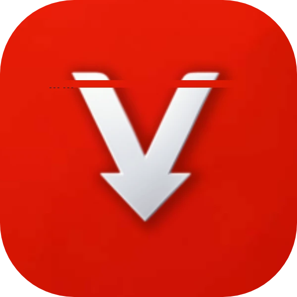 VidFetch一键下载各大平台视频内置播放器