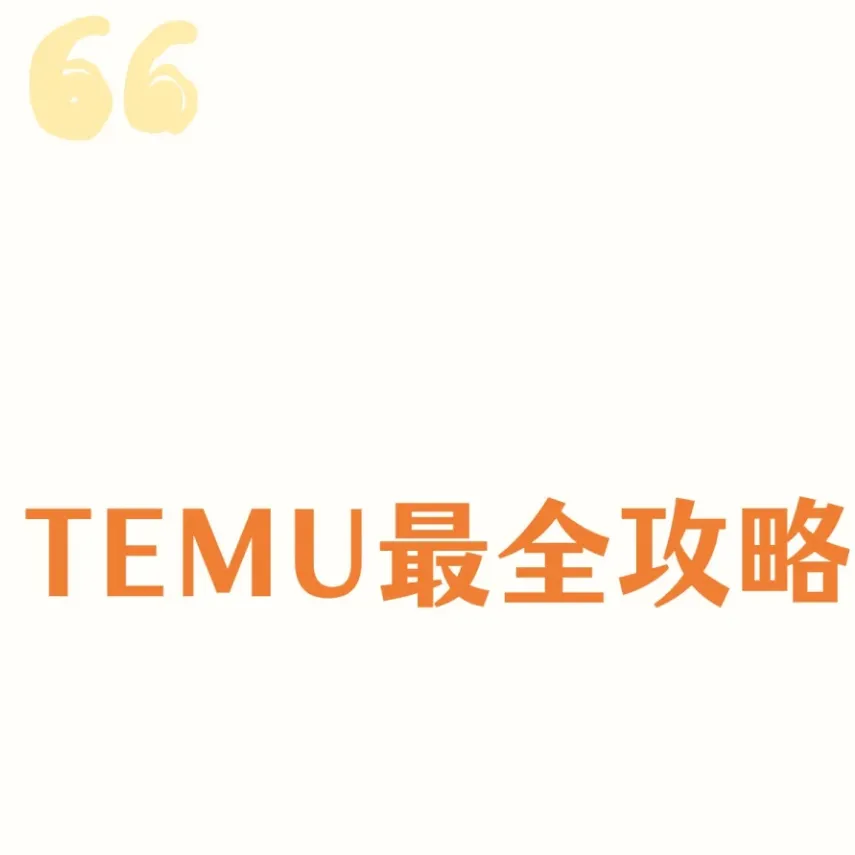 Temu卖家必看：选品、定价、运营全攻略，帮助你快速盈利