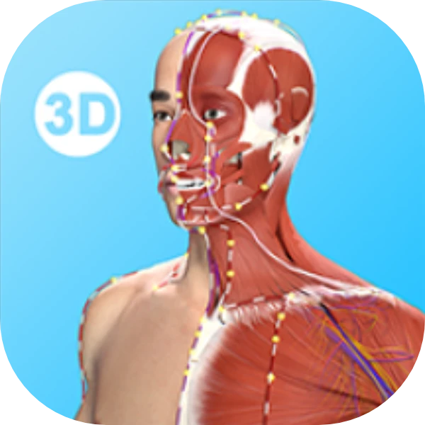 针灸大师奇经八脉中医爱好者必备