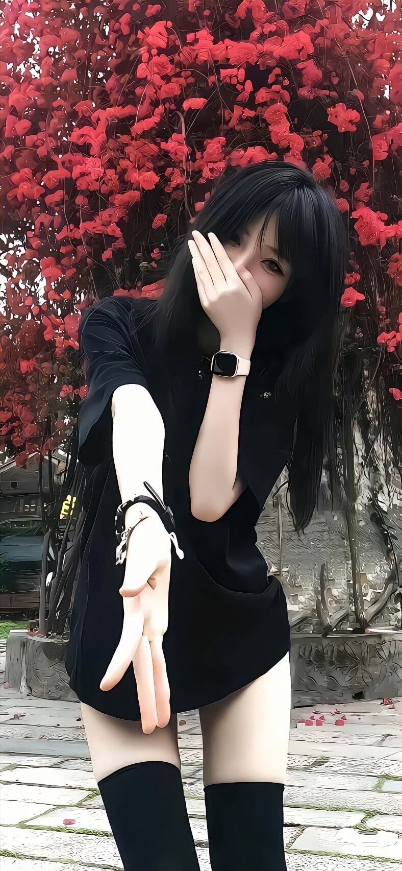 美化素材没有一朵花一开始就是花 封面