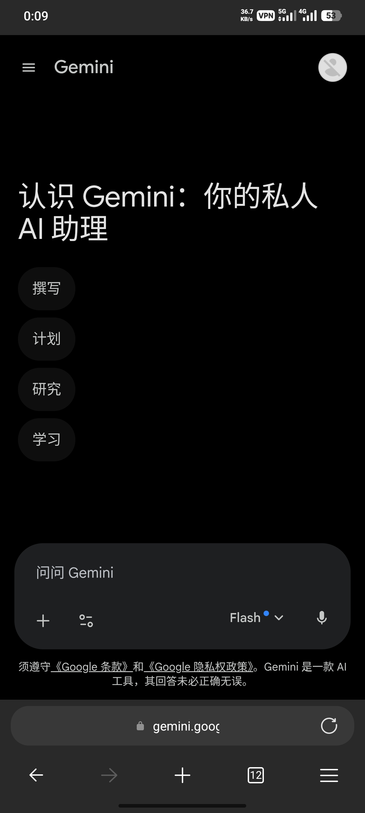 Gemini使用教程