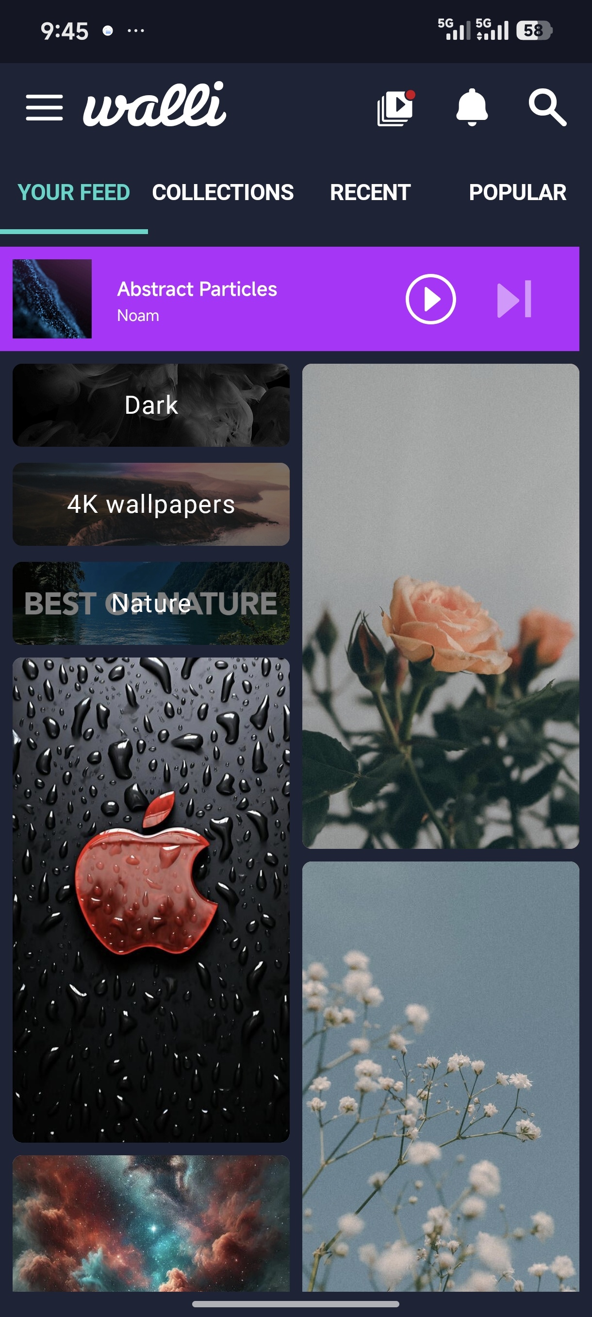 Walli 4K 各种4k壁纸下载 免费无广