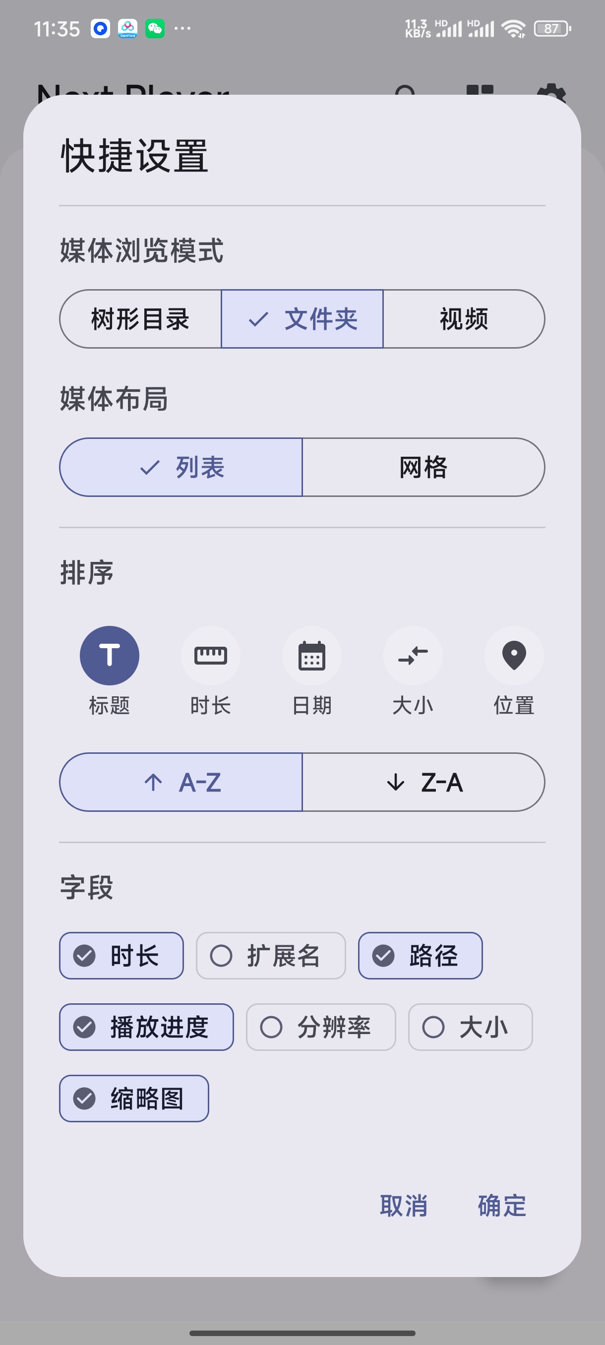 Next Player开源无广告本地视频播放器