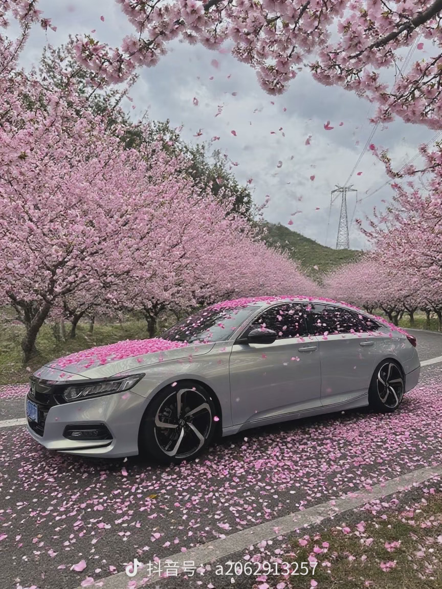 用豆包+Gemini从零做网站｜一晃几年，这里还有老伙计在吗？ 封面