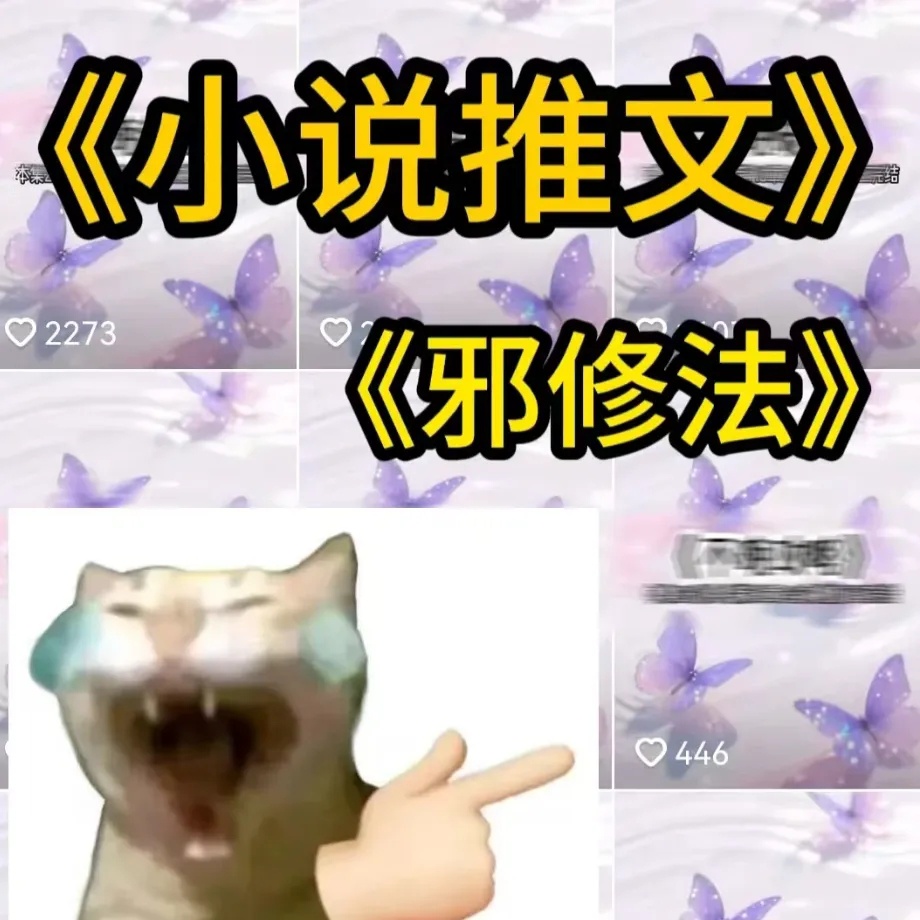 小说推文掘金术：保姆级教程，教你玩转短视频，轻松变现！