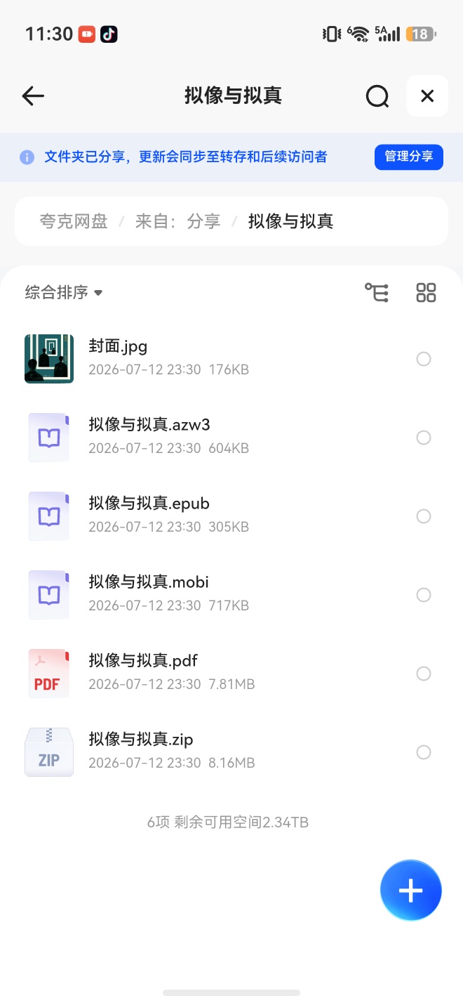 拟像与拟真