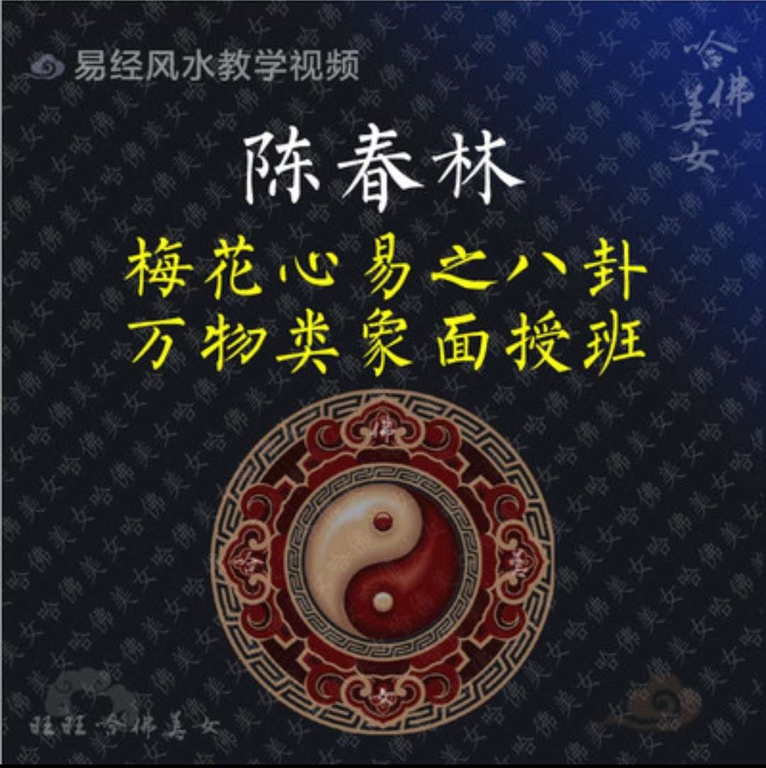 陈春林-梅花心易八卦万物类象面授班14集高清录像