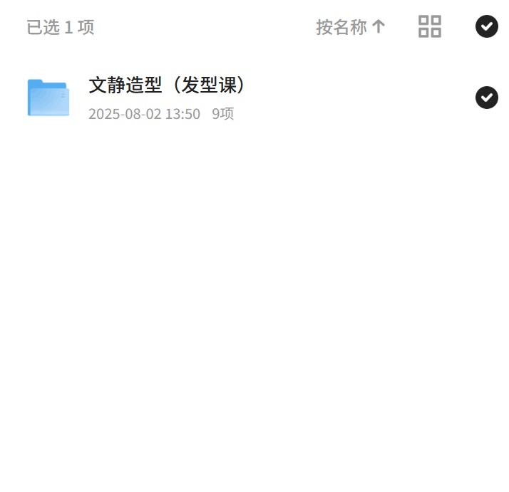 文静造型：发型课的精致艺术 封面