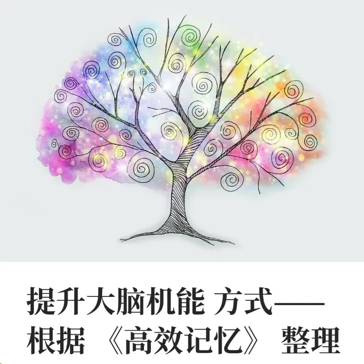 如何让记忆力暴涨？这本书教你科学提升脑力