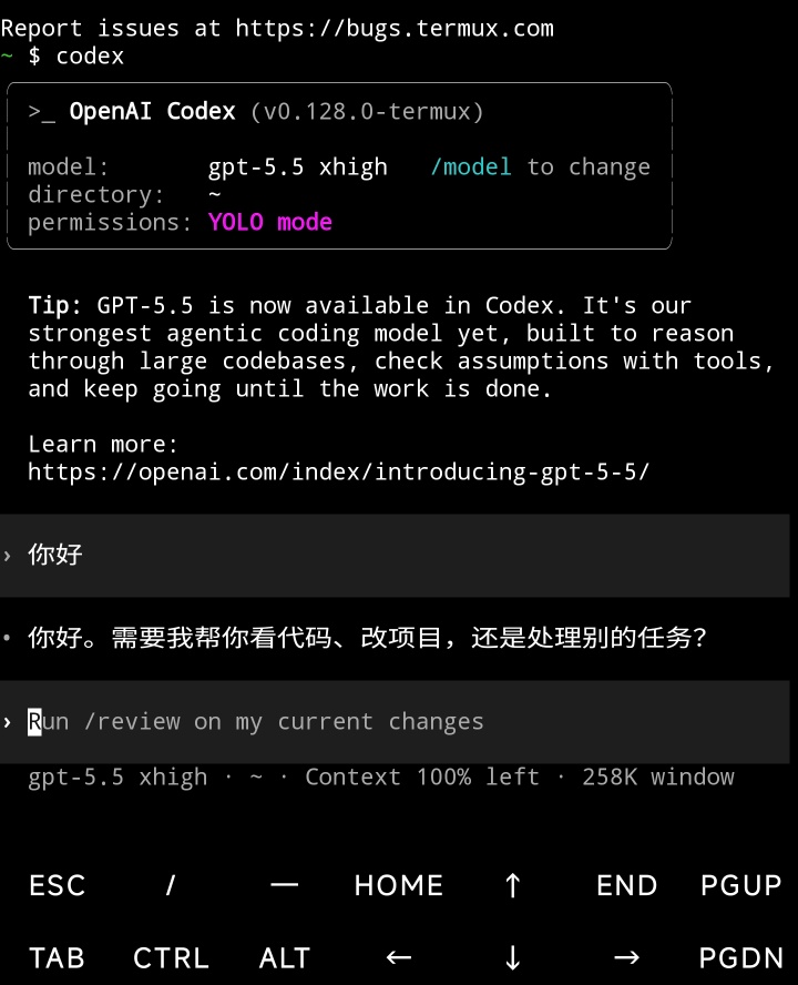 手机上原生使用codex，另有gpt5.5 api额度体验