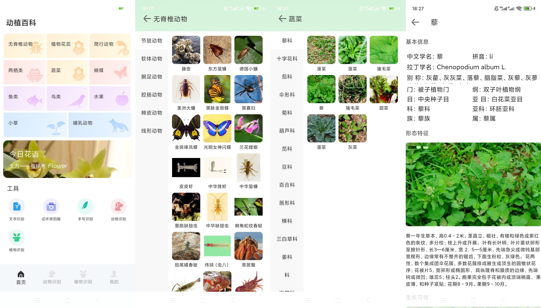 植物君动植物百科拍照识别多肉养护指南第6张插图 植物君动植物百科拍照识别多肉养护指南第6张插图
