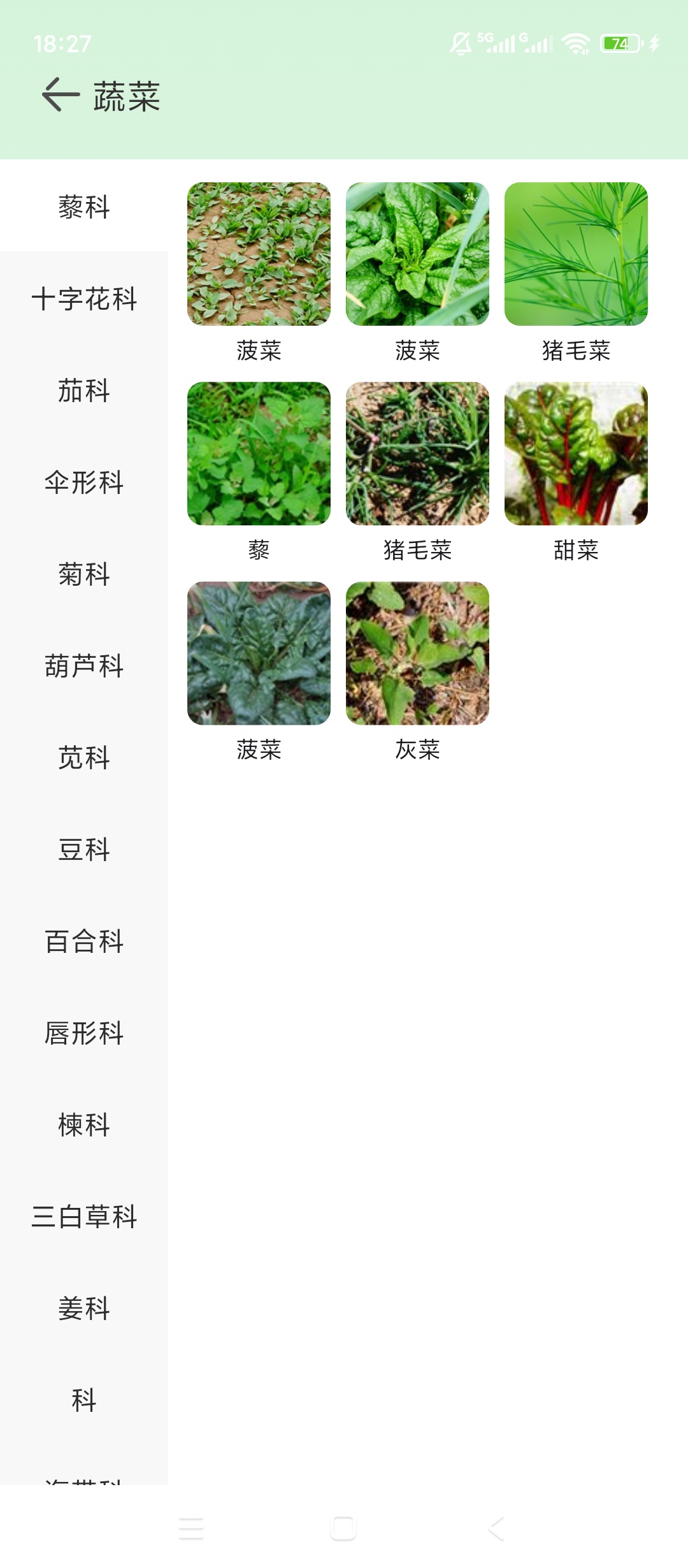 植物君动植物百科拍照识别多肉养护指南第4张插图 植物君动植物百科拍照识别多肉养护指南第4张插图