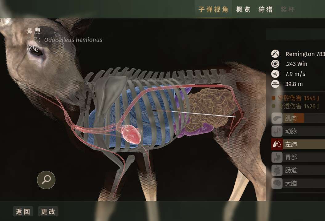 手游推荐猎人之路:野性欧洲3A狩猎巨作第6张插图 手游推荐猎人之路:野性欧洲3A狩猎巨作第6张插图